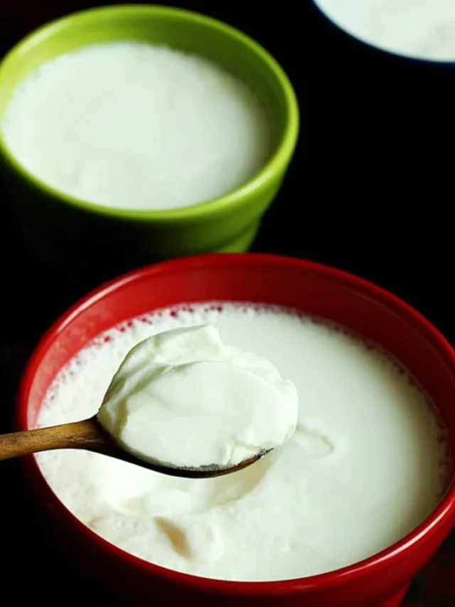Curd-for-Better-Digestion-4