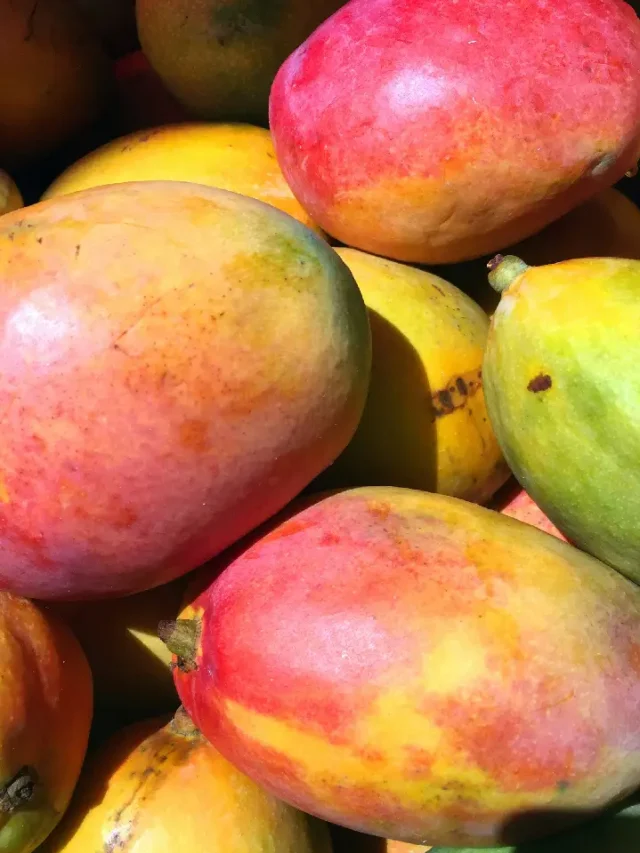 mango-side-effects-2