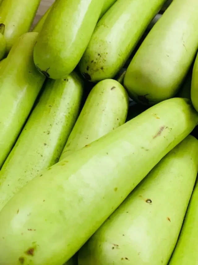 vitamin-in-bottle-gourd-juice-6