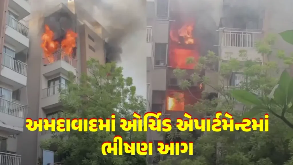 Orchid Apartment in Ahmedabad