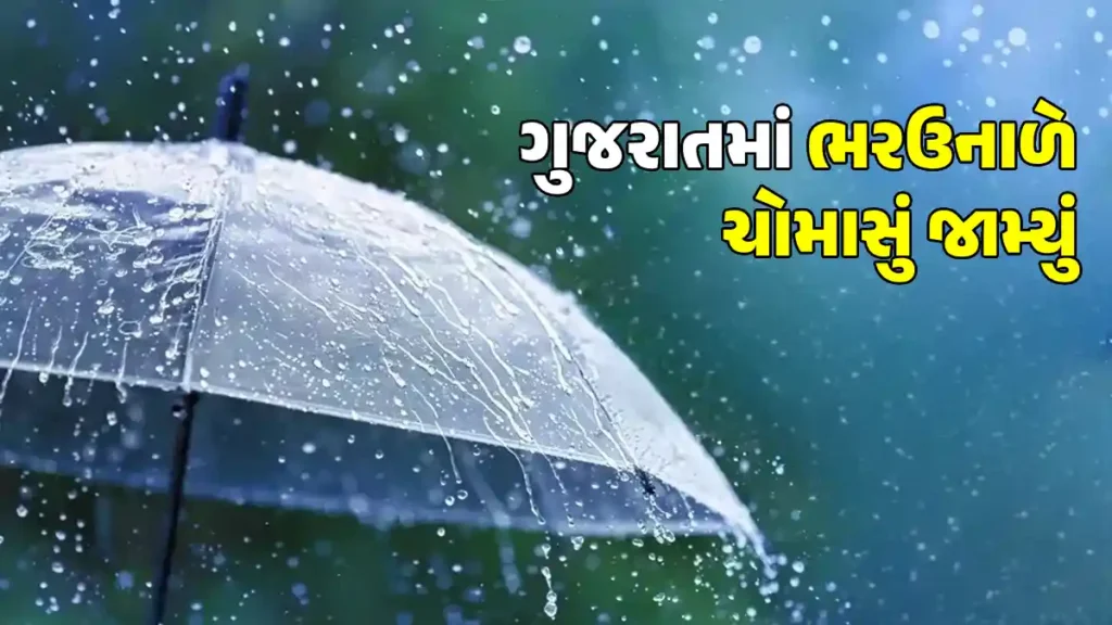 Gujarat Unseasonal Rain
