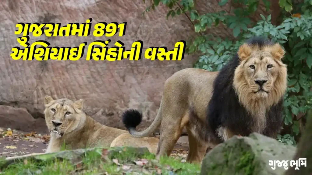 Asiatic Lion Population In Gujarat